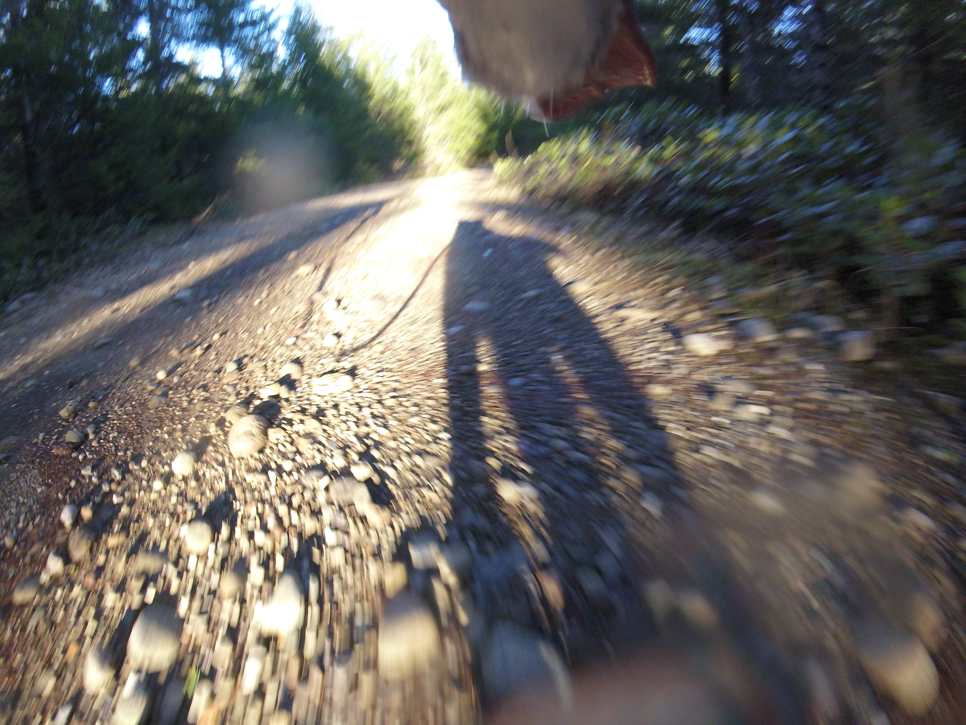 Adventure from Setti's POV
