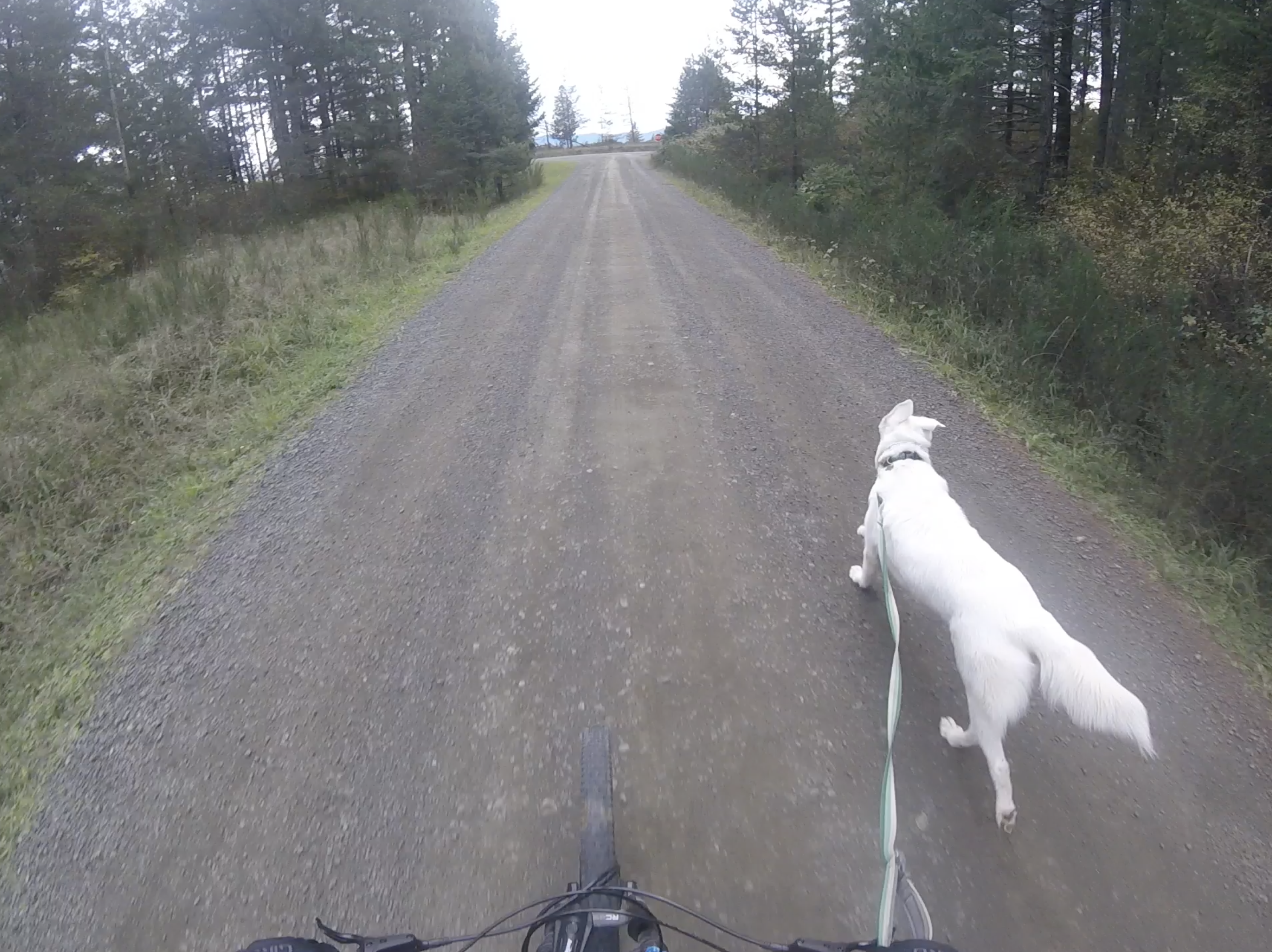 Adventures with Setti